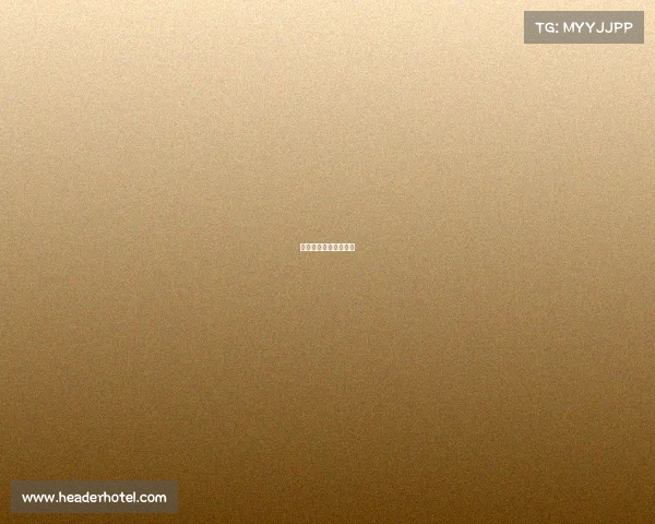 羽毛球比赛中国公开赛